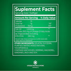 Omega 3 Fish Oil 1000mg – 60 Softgels, Omega-3 Supplements for Women and Men, Fish Oil Fatty Acid, Daily Essential Supplement (Pack of 2)