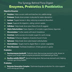 Flora Digest - 3-in-1 Max Strength Digestive Enzymes + Gut Surviving Probiotics & ButyraGen® Postbiotic for Optimal Digestion, Bloating Relief, Regularity, Gut Lining & Colon Support - (30 Capsules)