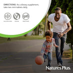 NaturesPlus Hema-Plex Iron - 60 Slow-Release Mini-Tabs - 85 mg Chelated Iron - Total Blood Health - with Vitamin C & Bioflavonoids - Vegan, Gluten Free - 30 Servings