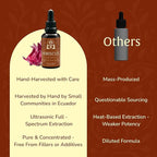 Hibiscus Extract 50ml – Antioxidant-Rich Flor de Jamaica Liquid | Hibiscus Tea Alternative | GLP-Friendly, Plant Based, Vegan, Non-GMO – 60 Servings