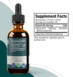 Rejuvica Health Active Iodine + Active B12 Bundle - Energy Support Bundle - Advanced Liquid Delivery