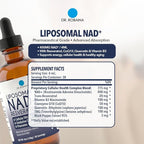 Dr. Robaina Liposomal NAD⁺ Liquid Drops – Doctor-Formulated with Trans-Resveratrol, Quercetin, CoQ10, Vitamin B3 & TMG – 400 mg NAD⁺ per 4 mL Serving – Berry Flavor, Amber Glass Dropper, 4 fl oz