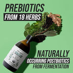 Flora Biome - Live Probiotic, Prebiotic, & Postbiotic – Organic Live-Culture – 10 Probiotic Strains, 18 Fermented Herbs - Complete Gut Health & Microbiome Optimizer (16 oz)