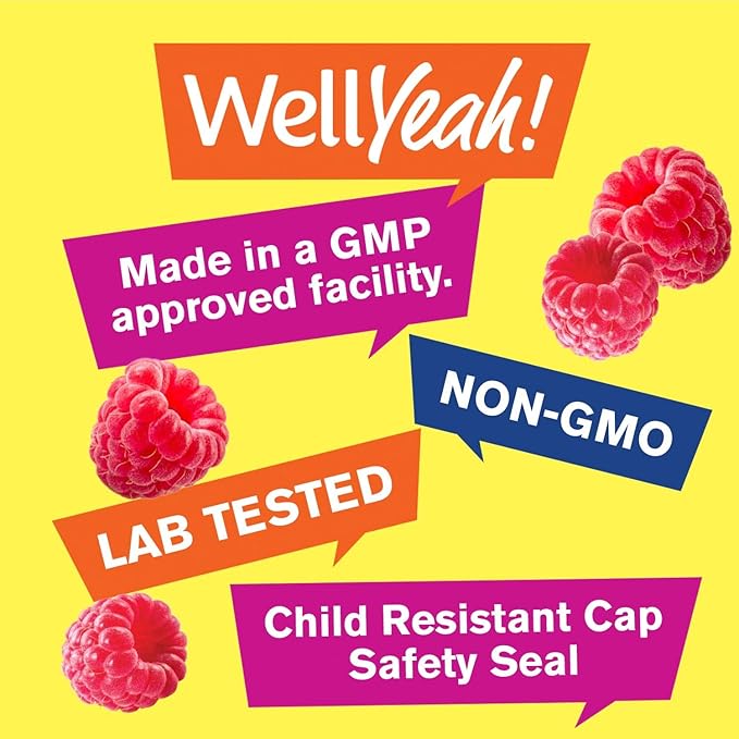 WellYeah Vitamin B12 1000mcg Gummies (2 Pack) - for Energy, Mood, Metabolism and Immune System Support - Vegan Friendly and Gluten-Free, GMO Free and Doctor Recommended - 60 Gummies