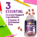 Kids Immune Support Gummies - Vitamin C, Zinc & Echinacea Children's Daily Immune Health Support Gummy Supplement for Ages 4 and Up, Natures Kid's Vitamin C Gluten-Free & Non-GMO, Vegan - 120 Gummies