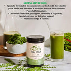 TERRA ORIGIN Healthy Superfood Greens Powder Drink with Probiotics & Ashwagandha | Adaptogen & Digestive Enzyme Fruit and Veggie Blend | for Gut Health, Energy, Immune Support* | 30 Servings | Mint