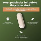 Daily Probiotic | 20 Billion CFU | Multi-Strain with Prebiotic + Postbiotic | Gut Health & Digestion Support | Vegan | 30 Capsules