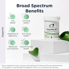 Designs for Health ProbioMed 100 - Probiotics for Digestive Health - 10 Strains with Lactobacillus Acidophilus Probiotic + Lactobacillus Rhamnosus - Gut Health + Immune Support Supplement (30 Caps)