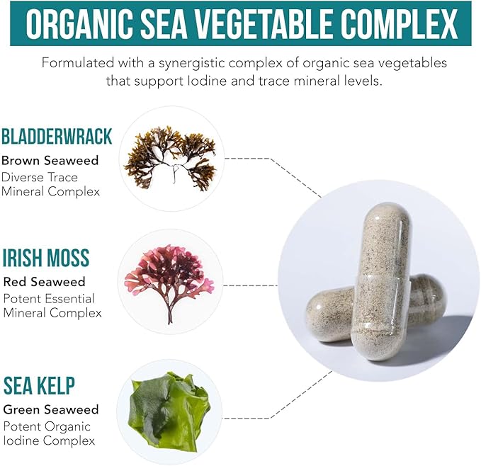 Organic Iodine Supplement from Sea Vegetable Complex, Whole Food & Raw Form - Iodine Plus Trace Mineral Complex – Contains Purest Icelandic Sea Kelp, Irish Moss & Bladderwrack (250 mcg)