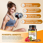 Turmeric Curcumin Supplement with Black Pepper & Bioactive Botanicals, Turmeric,Ginger,Berberine,Ceylon Cinnamon, – Premium Supplement for Daily Wellness Support 60 Capsules 2 Pack
