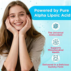 2 Pack Alpha Lipoic Acid Gummies 600mg - ALA Supplement for Antioxidant Support, Vegan, Sugar-Free, Raspberry Flavor, 120 Count