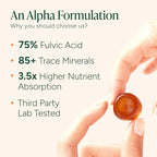 10-in-1 Alpha Shilajit Gummies | 4000 mg Pure Himalayan Shilajit with Tongkat Ali & Maca Root | for Men & Women | ShilAbsorb Bioavailability Tech | Sugar-Free, Vegan | 60 Gummies