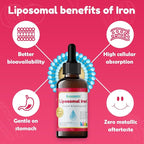 Nuvamin – Liquid Liposomal Iron Drops for Baby, Toddlers, Kids, & Teens, 2Fl.Oz (60ml), 120 Daily Serving. Great Taste - All Natural - Vegan - No Metallic Aftertaste, Berry Flavor