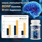 Nootropic Brain Supplement for Memory and Focus – BDNF Optimizer – Cognitive, Mental Clarity & Mood – High Absorption – Organic Lion's Mane, L-Theanine, Ginkgo Biloba & Alpha GPC – 60 Tablets