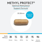 XYMOGEN Methyl Protect - 3,400 mcg 5-MTHF (5-Methyltetrahydrofolate) - Cardiovascular & Neurological Support - Activated Vitamin B Supplement - Vegetarian & Gluten-Free - 60 Capsules