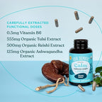 Four Sigmatic Calm Capsules | Vegan Stress Relief Supplement to Promote Positive Mood with Organic Ashwagandha Powder, Organic Reishi Mushroom, Tulsi (Holy Basil Extract), Vitamin B6 | 30 Servings
