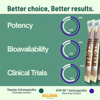 KSM-66 Ashwagandha Power Sticks, Full Spectrum 400 mg KSM 66 Ashwagandha Root Extract per serving | standardized > 5% Withanolides high absorption Boost Energy | Reduce Stress | Mood Support | Focus | Improved Memory/Cognition| 30 Sticks