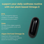 Iwi Omega-3, 60 Softgels (60 Servings), Vegan Plant-Based Algae Omega 3 with EPA + DHA, Whole-Body Support Dietary Supplement, Krill & Fish Oil Alternative, No Fishy Aftertaste