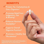 AST Enzymes Digest-GI Digestive Enzyme - Digestion and Bloating Relief for Women and Men - 90 Vegetarian Capsules