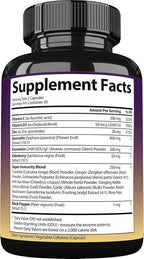 Quercetin with Bromelain, Elderberry, Vitamin C, D3 and Zinc. Super Immune Support Supplement. Organic Complex for Men & Women, Non-GMO, Gluten-Free, Vegan, USA