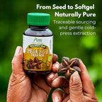 Amazon Andes Sacha Inchi Oil Capsules 500mg - Omega 3 6 9 Fatty Acids from Peru - 100 Softgels - Cold Pressed Virgin Inca Peanut Oil - Plukenetia Volubilis - Vegan Plant Based Non-GMO