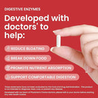 Digestive Enzymes - Multi Enzymes, Organic Prebiotics & Probiotics for Digestive Health & Gut Health - Meal Time Discomfort Relief & Bloating - Dual Action Approach - 60 CT