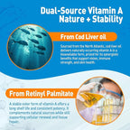 Vitamin A Gummies, 25000IU Vitamin A Supplement from Retinyl Palmitate & Fish Liver Oil, with Coconut Oil for High Absorption, Vision, Skin & Immune Health, Sugar-Free, Non-GMO, 60 Servings