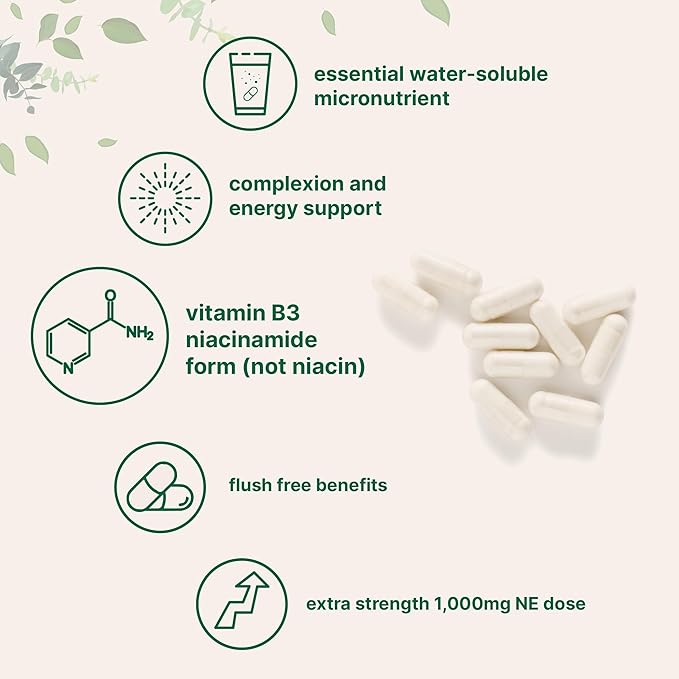 Vitamin B3 Niacinamide 500mg Per Capsule, 400 Capsules | 1,000mg Flush Free Niacin Per Serving, Essential B Vitamin Supplement | Non-GMO, Gluten Free