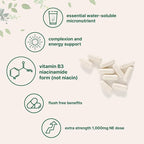 Vitamin B3 Niacinamide 500mg Per Capsule, 400 Capsules | 1,000mg Flush Free Niacin Per Serving, Essential B Vitamin Supplement | Non-GMO, Gluten Free