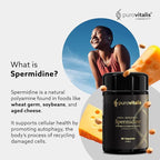 PUROVITALIS Liposomal Spermidine 5mg, Cell Renewal, 30 Servings (30 Vegan Capsules), with Zinc, Vitamin D3 & B12, Anti-ageing Supplement