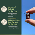 Nature’s Bounty Beets & Co Q-10 Gummies for Heart Health, Coenzyme Q10, Beet Root Extract, Supports Healthy Circulation and Heart Function, Cellular Energy Production, Raspberry Flavor, 60 Gummies