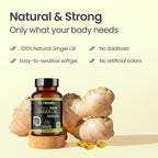 Dr. HERBALIST Ginger Oil Capsules 1600mg - Cold Pressed Zingiber Officinale with Gingerols & Shogaols | Supports Digestive Comfort & Joint Wellness* | Halal | 60ct