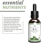 Optimal Health Systems Essential B-12 Drops | Whole Food B-12 for Energy, Red Blood Cell & Cognitive Support | Potent, Vegetarian, Gluten Free, Non-GMO – 60 mL