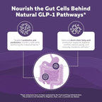 GLP-Pro™: Probiotic & Postbiotic Blend for Natural GLP-1 Support — Akkermansia MucT™, ButyraGen® Butyrate Generator & Spore Bacillus — Healthy Appetite, SCFA & Metabolic Balance — 30 Count