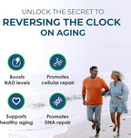 2010 MG NAD+ Supplement- Nicotinamide Riboside, Resveratrol, Quercetin & BioPerine® (High Absorption)- Natural NAD Booster for Anti-Aging, Cellular Energy, Skin- For Women & Men- 90 V Capsules