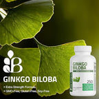 Bronson Ginkgo Biloba Extra Strength Supports Brain Function & Memory Support, 360 Vegetarian Capsules