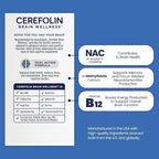 Brain Wellness, Targeted Nutrition for Cognitive Support, Improves Memory, Focus & Concentration, L-Methylfolate, NAC, B12, Neurologist Recommended (30 Count)