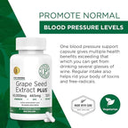 Grape Seed Extract Plus-Vitis Vinifera (60 Capsules)-60,000 mg Strength, 60 Vegan Capsules, 465mg Polyphenols (Proanthocyanidins), Potent 120:1, 2 Month Supply, Non-GMO and All-Natural