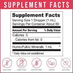 Body Ecology Ancient Earth Liquid Minerals | 100% Plant-Derived Trace Mineral Liquid Supplement | Fast-Absorbing Electrolyte Solution for Immune Support | 60 Servings (2 fl oz)