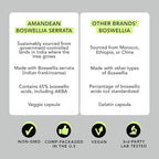 AMANDEAN Boswellia Serrata Extract. 500mg 120 Veggie Capsules. 65% Boswellic Acids with AKBA. Indian Frankincense Inflammation Supplement. Joint Health Support. (Packaging May Vary)