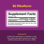 Natural Factors - Vitamin B2 Riboflavin 100mg, Support for Energy & Normal Metabolism, 90 Tablets