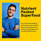 Nature’s Life Icelandic Kelp 41 mg - Iodine Tablets, Sea Kelp Seaweed Supplement for Thyroid Support, Natural, Gluten Free, Non-GMO Green Superfood, 225 mcg Iodine Pills - 500 Tablets (500 Servings)