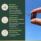 Nature’s Bounty Advanced Vital Heart with CoQ10 + Magnesium, Antioxidant, Supports Healthy Blood Pressure, Cholesterol, Circulation, Triple Action Formula, CoQ10, Magnesium Supplement, 60 Softgels