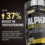 Nutrex Research Alpha-T Magnum Testosterone Support for Men | Anabolic Supplement with Tongkat Ali, Fadogia Agrestis, Shilajit and Ashwagandha | Muscle Builder for Strength, Growth & Hormone Balance
