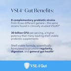 VSL4® Gut Daily Probiotics for Gut Health - 30B CFUs, Multi-Strain Digestive Support for Women & Men, Promotes Gut Balance & Regularity, Potent, Shelf-Stable Probiotic Supplement, 30 Capsules