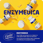 Enzymedica, Pro-Bio, Shelf Stable, Stomach-Acid Resistant Probiotic for Healthy Digestion, 10 Billion CFU, 90 Count