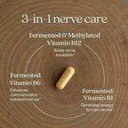 New Chapter Nerve Health Supplement for 3-in-1 Support from Head to Toe - Vitamin B1 Generates Energy for Nerves, Vitamin B6 Enhances Healthy Transmission, Vitamin B12 Builds Insulation, 30ct