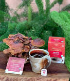 Teeccino Reishi Eleuthero Tea - French Roast - 10 TeaBags - Organic Mushroom Adaptogenic Herbal Tea, 3x More Herbs than Regular Tea Bags, Caffeine Free, Chicory Prebiotic