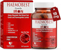 HealthBest High Potency Gentle Iron Capsules 19mg |Slow Release Iron for Faster Absorption, Non-Constipating| Vitamin C, B12, Folate Zinc & Selenium for Anemia, Hemoglobin & Immune Support |60 Count