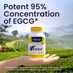 Healthy Origins® Green Tea Extract 400 mg, 95% EGCG, High-Potency Antioxidant & Immune Support, 120 Veggie Capsules